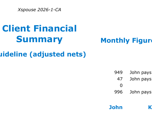 Client Financial Summary